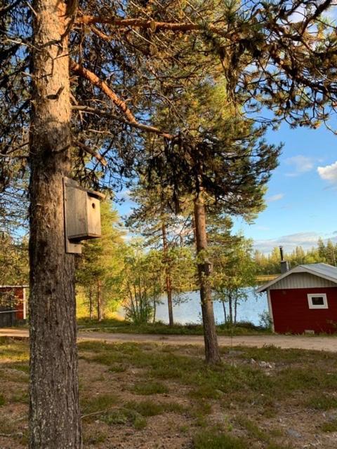 Off-Grid Cabin In Nattavaara Lapland エクステリア 写真