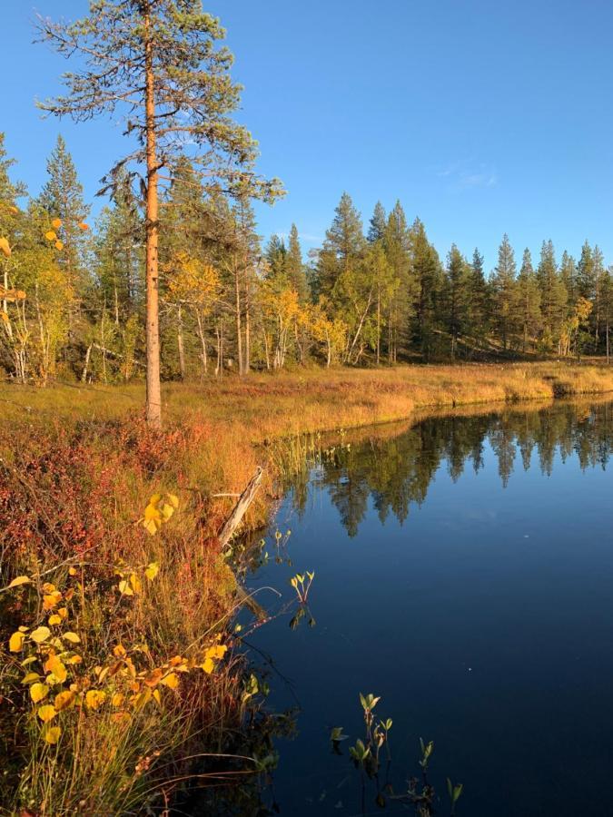 Off-Grid Cabin In Nattavaara Lapland エクステリア 写真