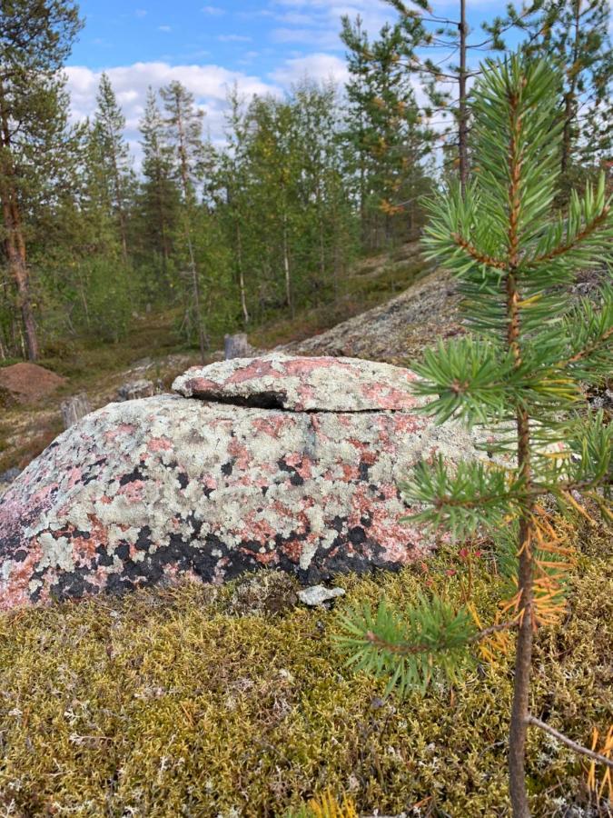 Off-Grid Cabin In Nattavaara Lapland エクステリア 写真