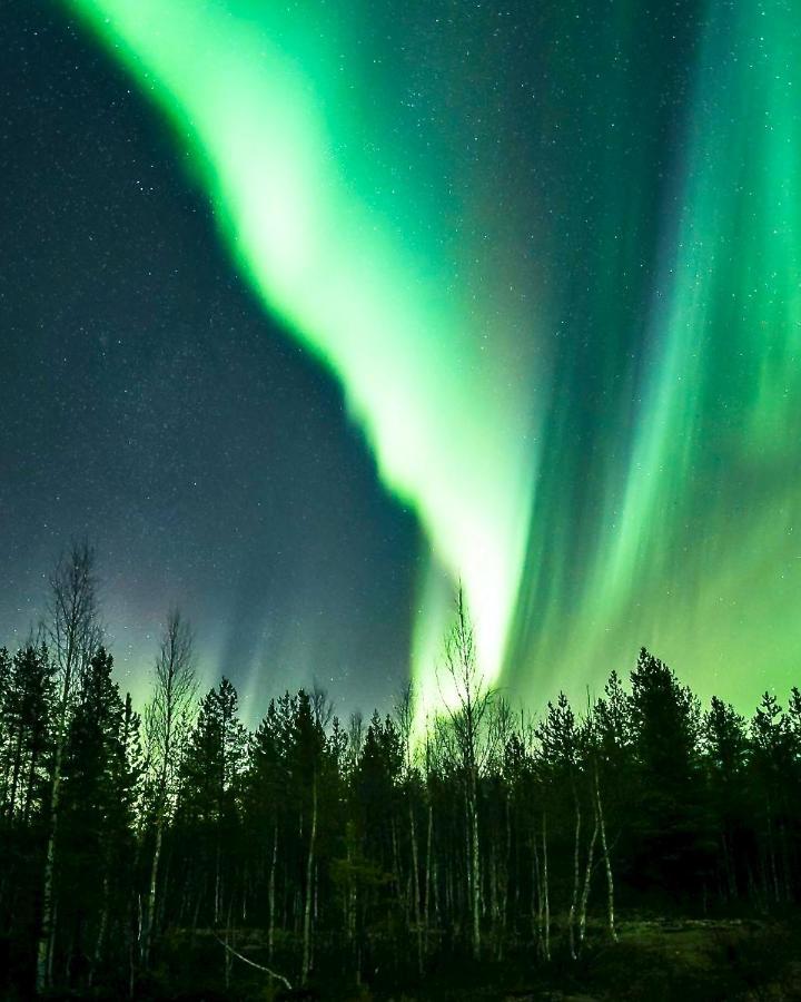 Off-Grid Cabin In Nattavaara Lapland エクステリア 写真