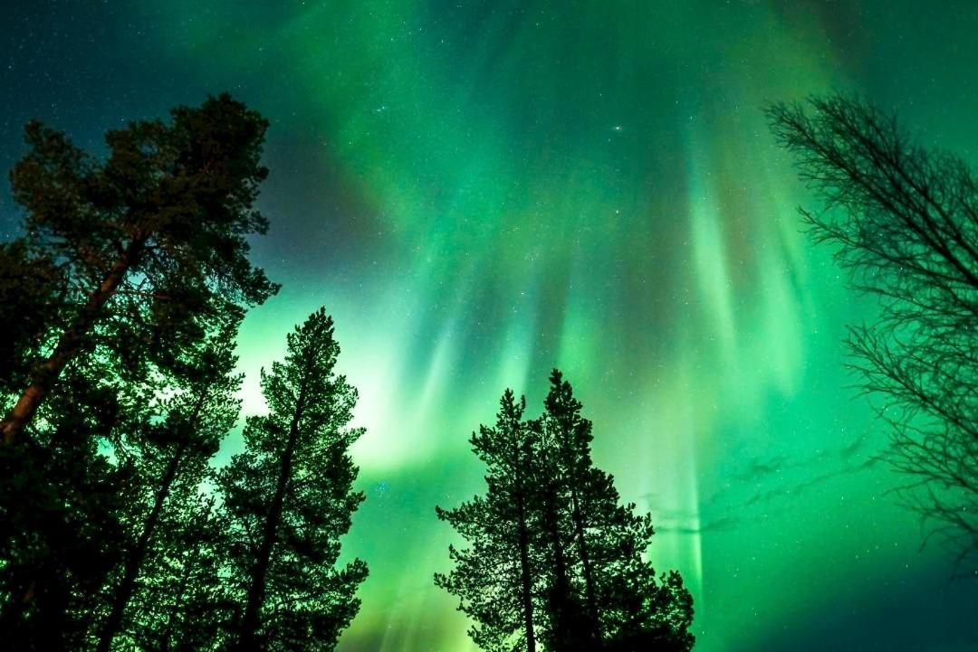Off-Grid Cabin In Nattavaara Lapland エクステリア 写真